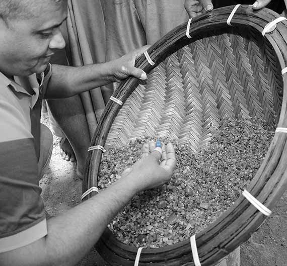 Natural rough gemstones being carefully selected