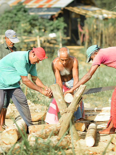 A team working together in a Sri Lankan gem field